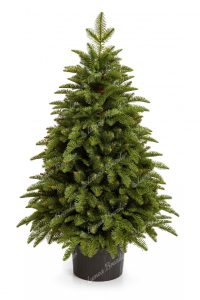 Brad de Crăciun artificial în ghiveci 3D Mini