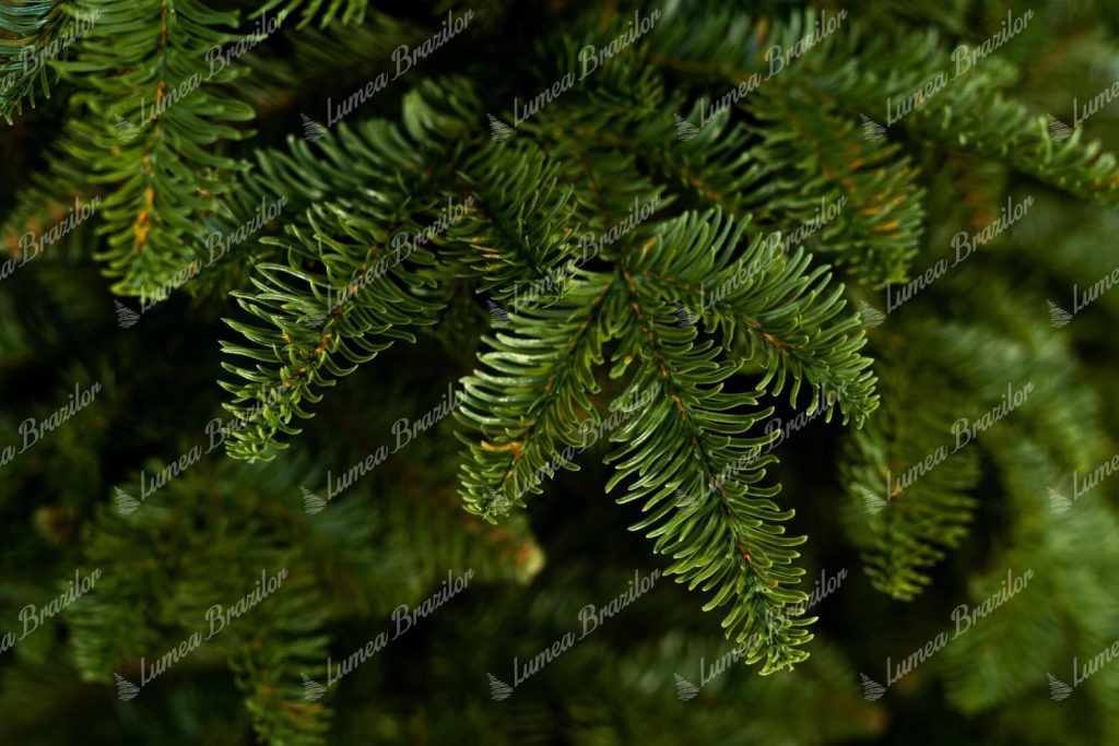 Pom de Crăciun artificial 3D brad caucazian
