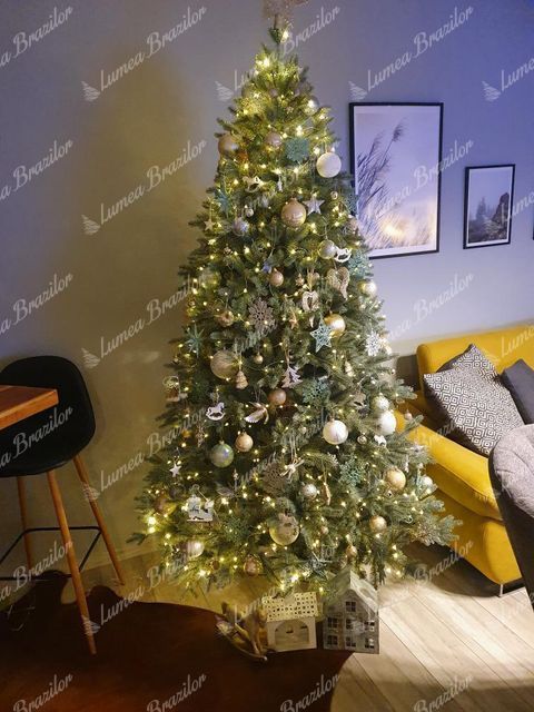 Pom de Crăciun artificial 3D Molid Înghețat 210cm