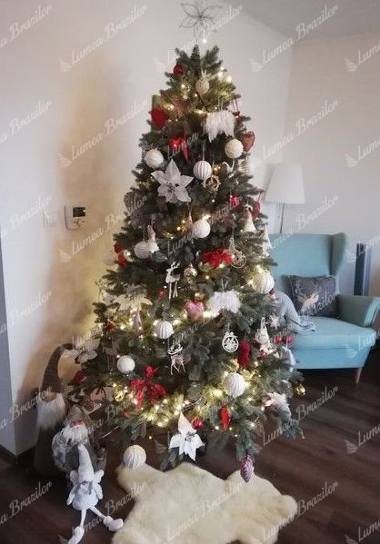 Pom de Crăciun artificial 3D Molid Înghețat 210cm