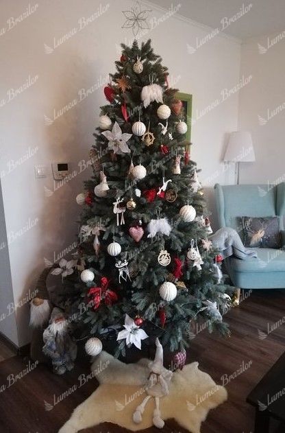 Pom de Crăciun artificial 3D Molid Înghețat 210cm