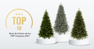 Brazi de Craciun de lux