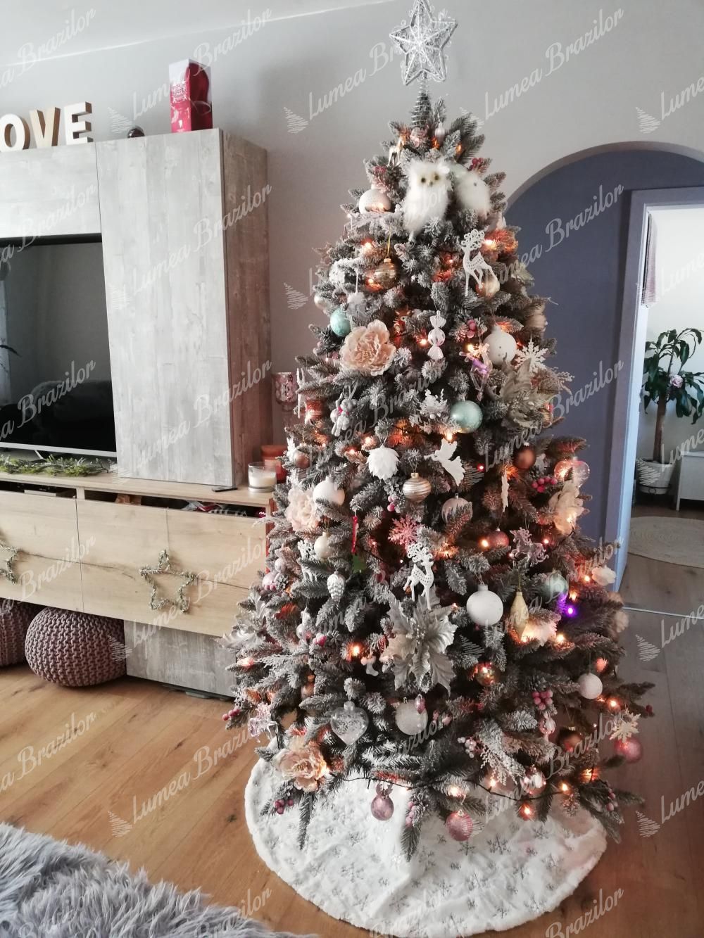 brad alb impodobit - Pom de Crăciun Molid Cristal 220cm