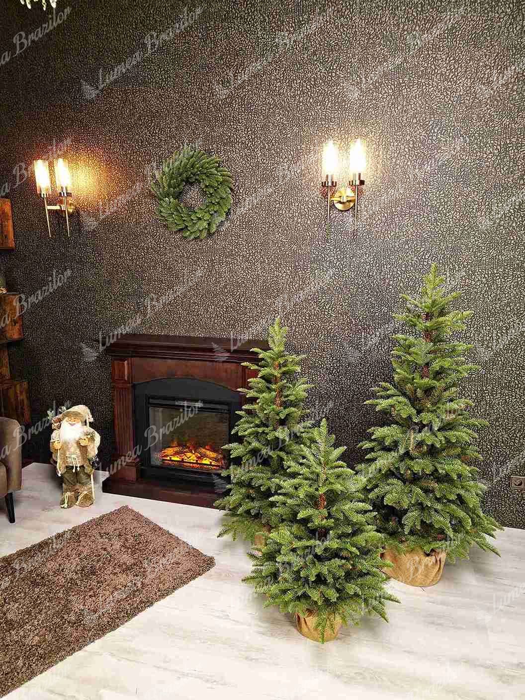 Pom de Crăciun în ghiveci 3D Brad Natural