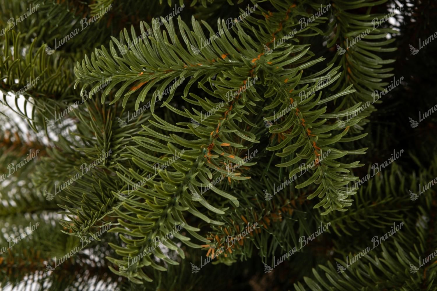 Pom de Crăciun în ghiveci 3D Brad Natural