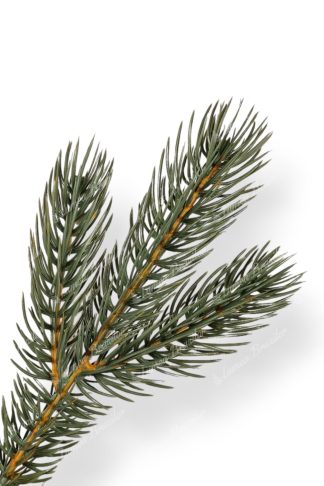 Pom de Crăciun artificial Pin Argintiu