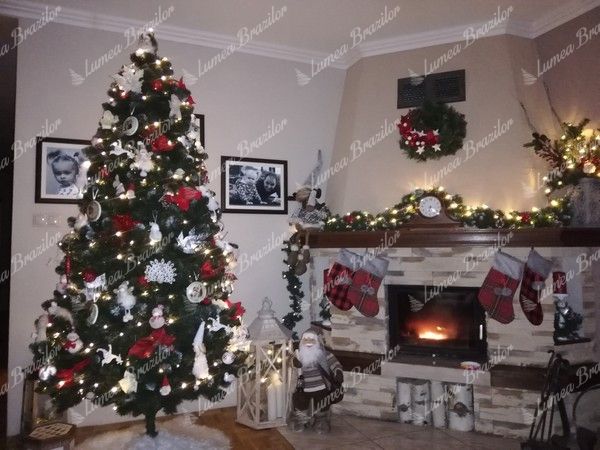 Împodobit Pom de Crăciun artificial Pin Natural 250cm