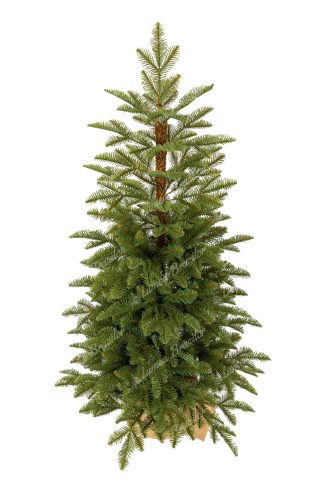 Pom de Crăciun în ghiveci 3D Brad Natural 120cm