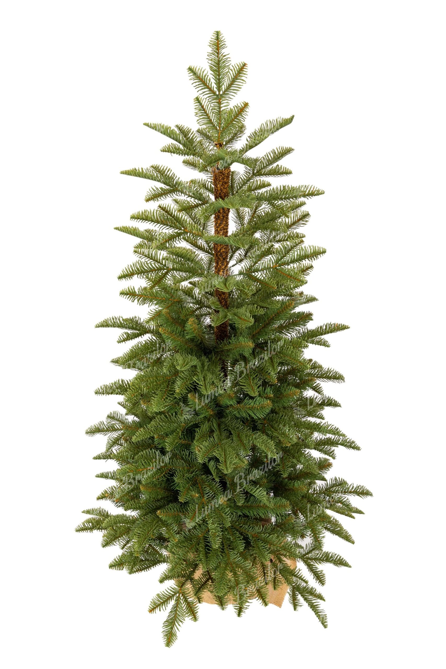 Pom de Crăciun în ghiveci 3D Brad Natural 120cm