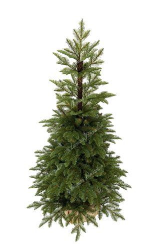 Pom de Crăciun în ghiveci 3D Brad Natural 150cm