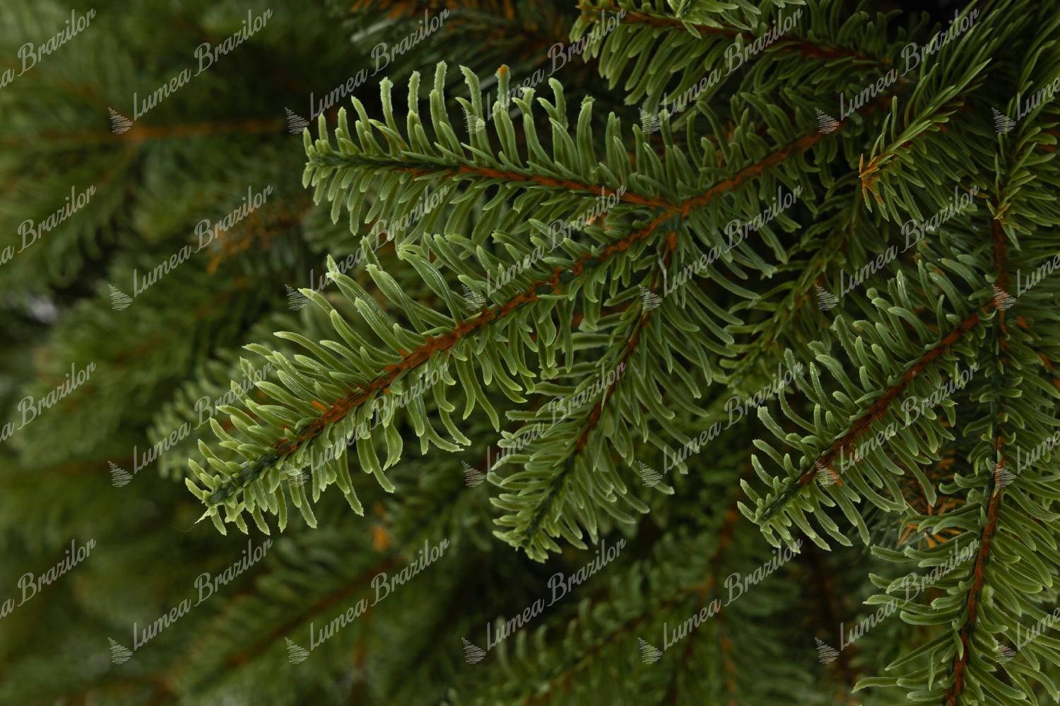 Pom de Crăciun în ghiveci 3D Brad Natural