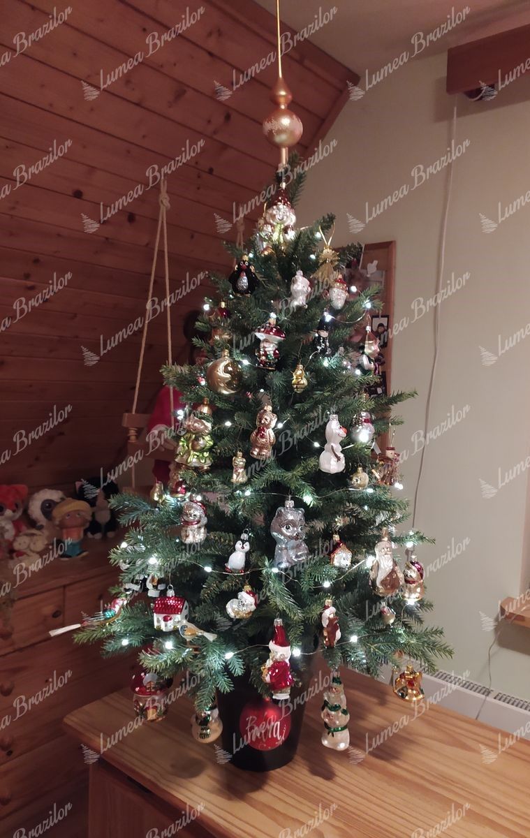 Mini brad de pădure 3D 105cm în ghiveci