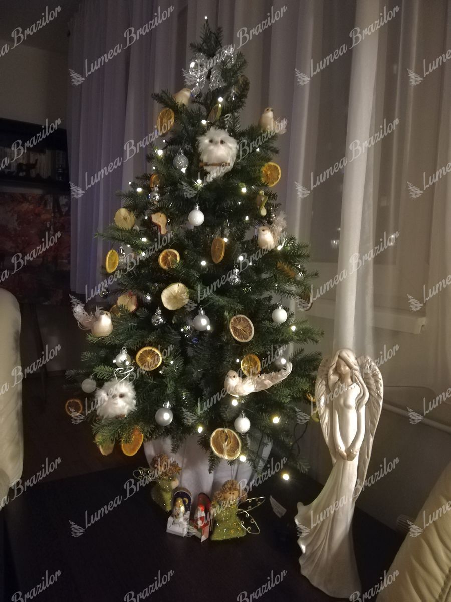Mini brad de pădure 3D 105cm în ghiveci