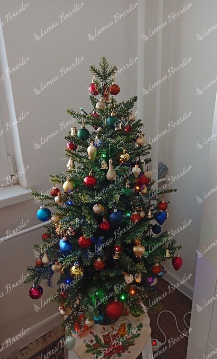 Mini brad de pădure 3D 105cm în ghiveci