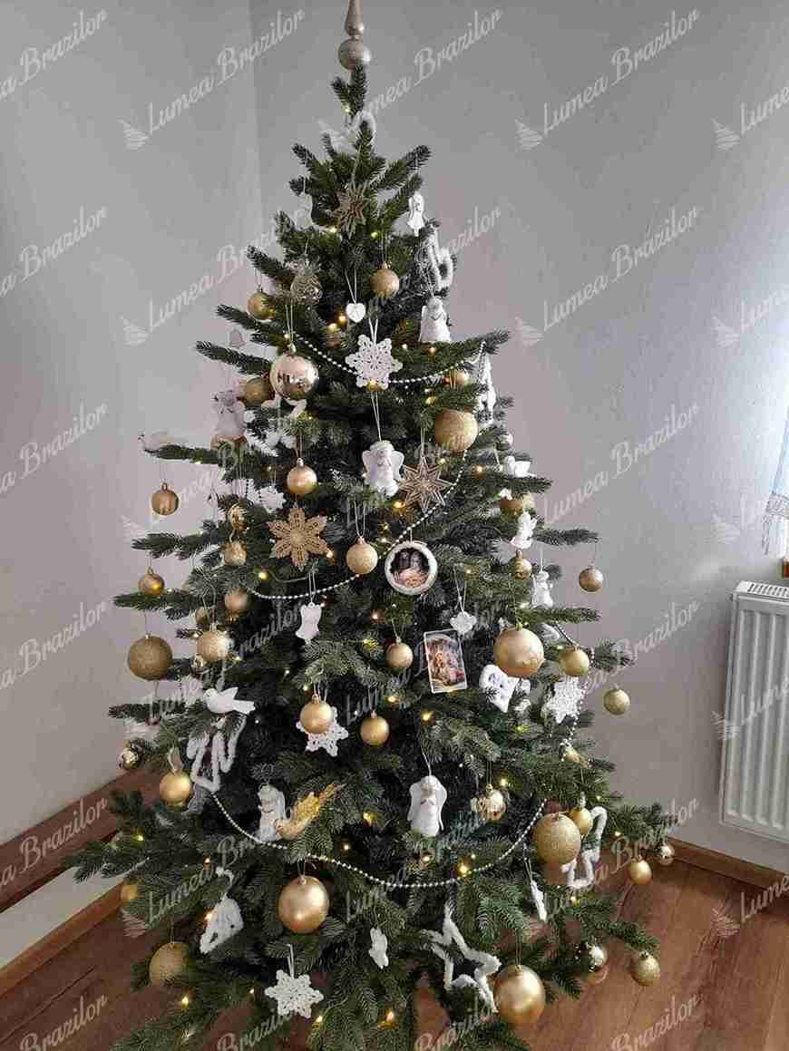 Pom artificial de Crăciun 3D Molid Exclusiv 180cm LED300