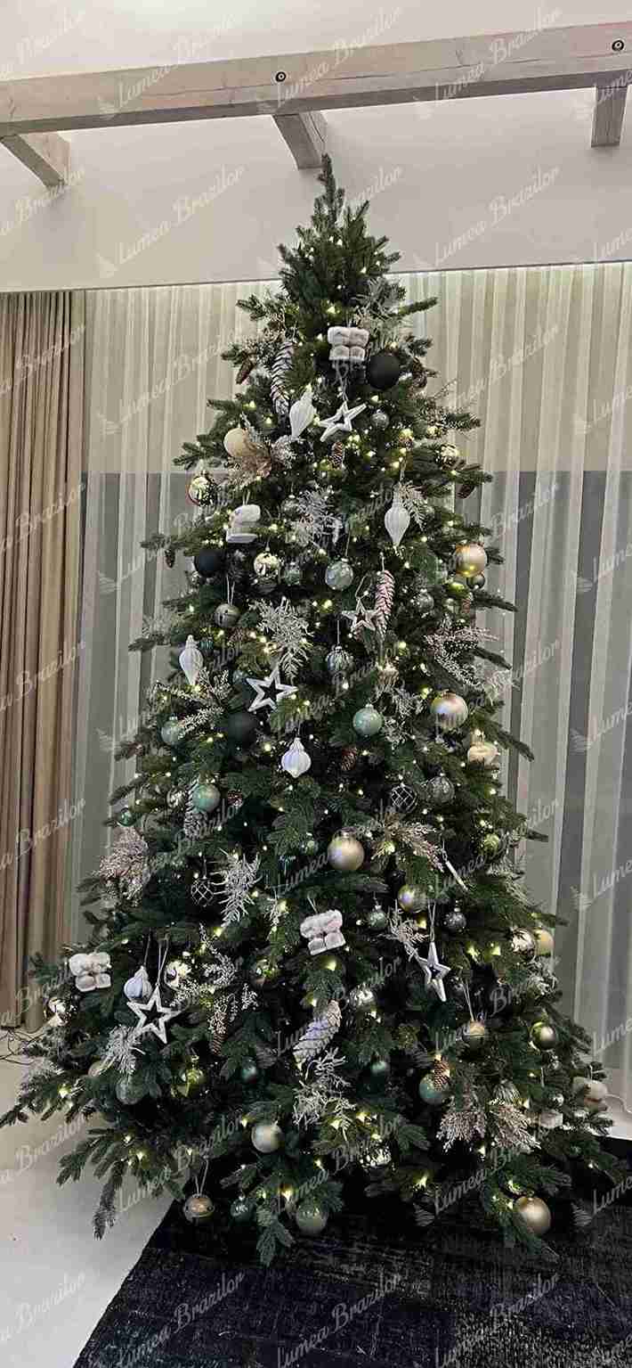 Pom artificial de Crăciun 3D Molid Exclusiv 300cm LED1000