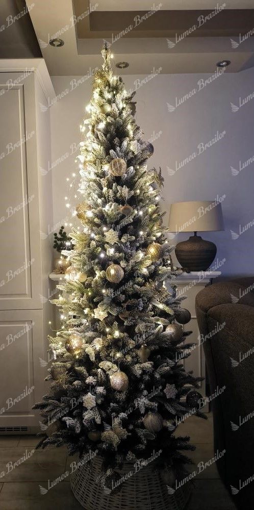 Pom de Crăciun 3D Molid Royal Slim 210cm