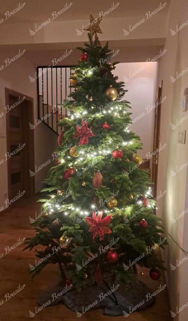 Pom de Crăciun artificial 3D brad caucazian 210cm