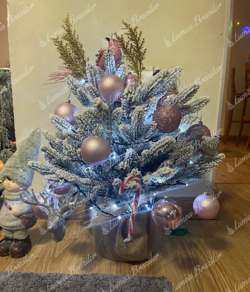 Pom de Crăciun în ghiveci 3D Molid Royal 60cm