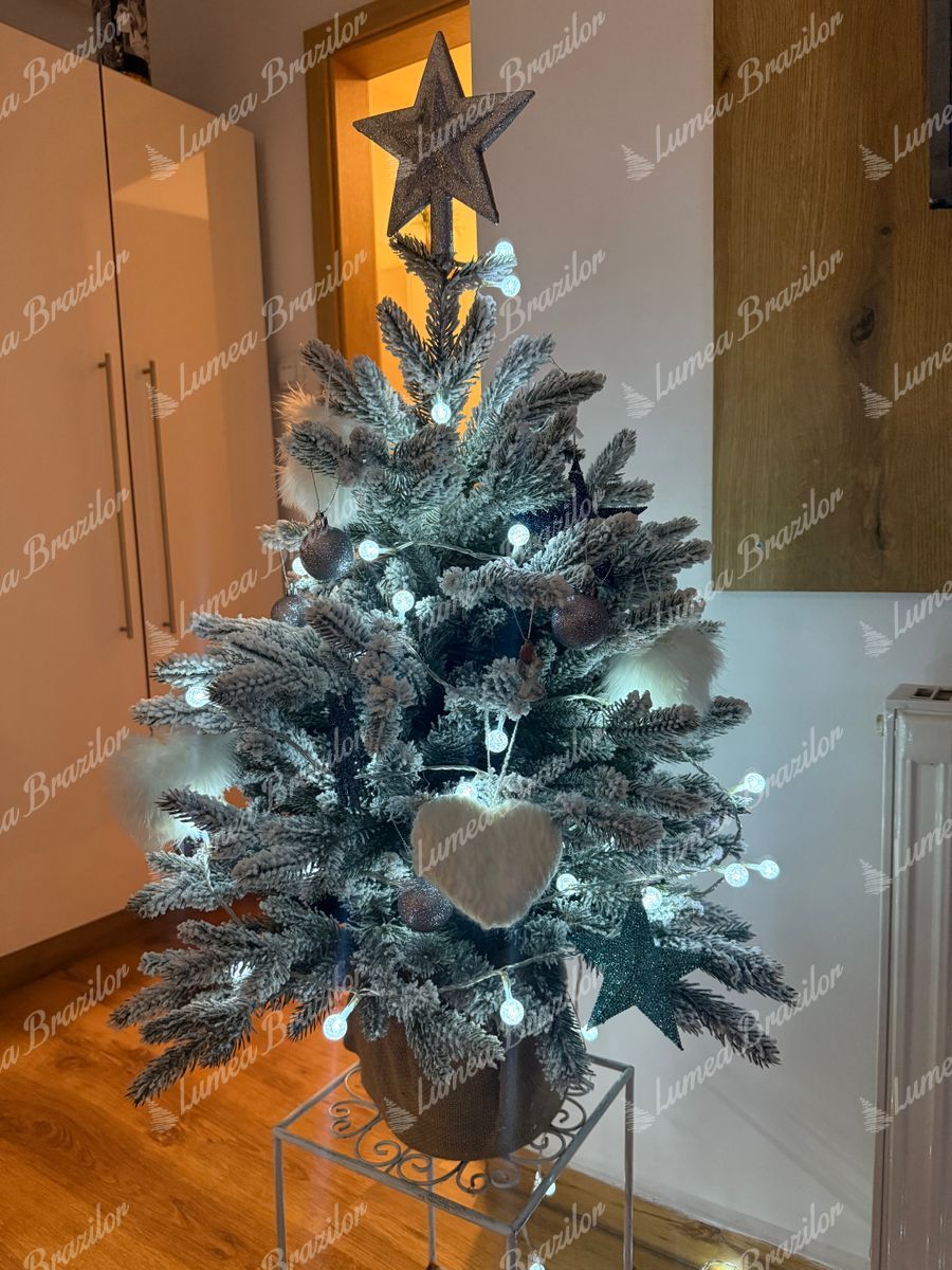 Pom de Crăciun în ghiveci 3D Molid Royal 80cm