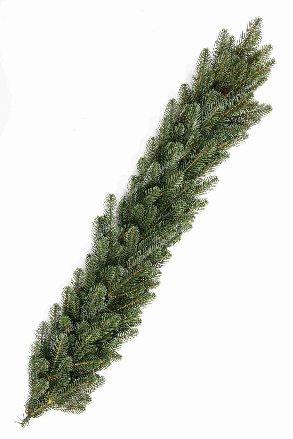 Ghirlanda de Crăciun 100% 3D Brad Canadian 100cm
